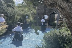 IMG_3540-1